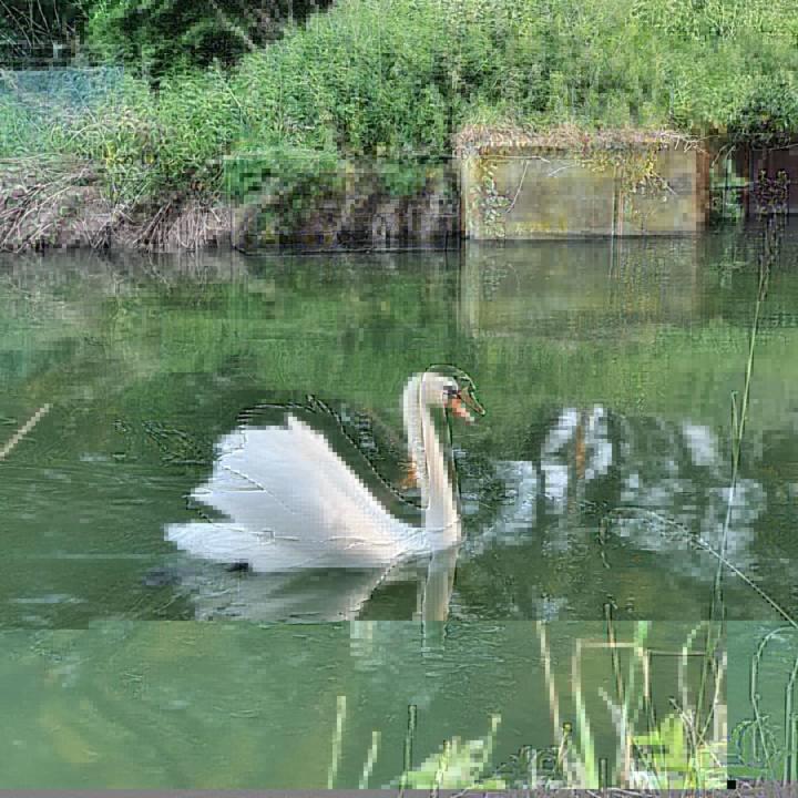 De Vliegende Vlinder Bed & Breakfast Nederweert ภายนอก รูปภาพ
