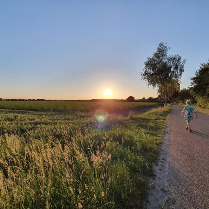 De Vliegende Vlinder Bed & Breakfast Nederweert ภายนอก รูปภาพ