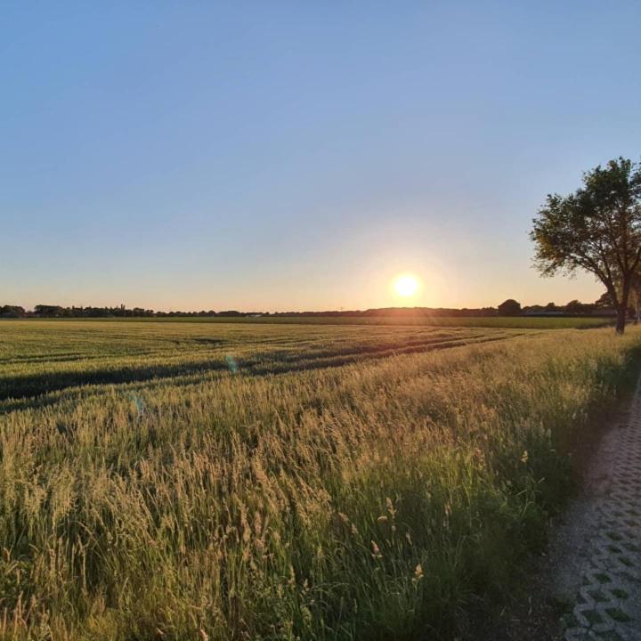 De Vliegende Vlinder Bed & Breakfast Nederweert ภายนอก รูปภาพ