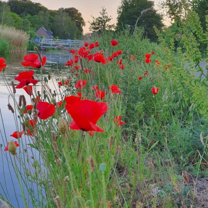 De Vliegende Vlinder Bed & Breakfast Nederweert ภายนอก รูปภาพ