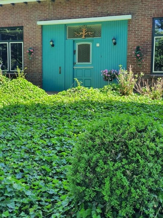 De Vliegende Vlinder Bed & Breakfast Nederweert ภายนอก รูปภาพ
