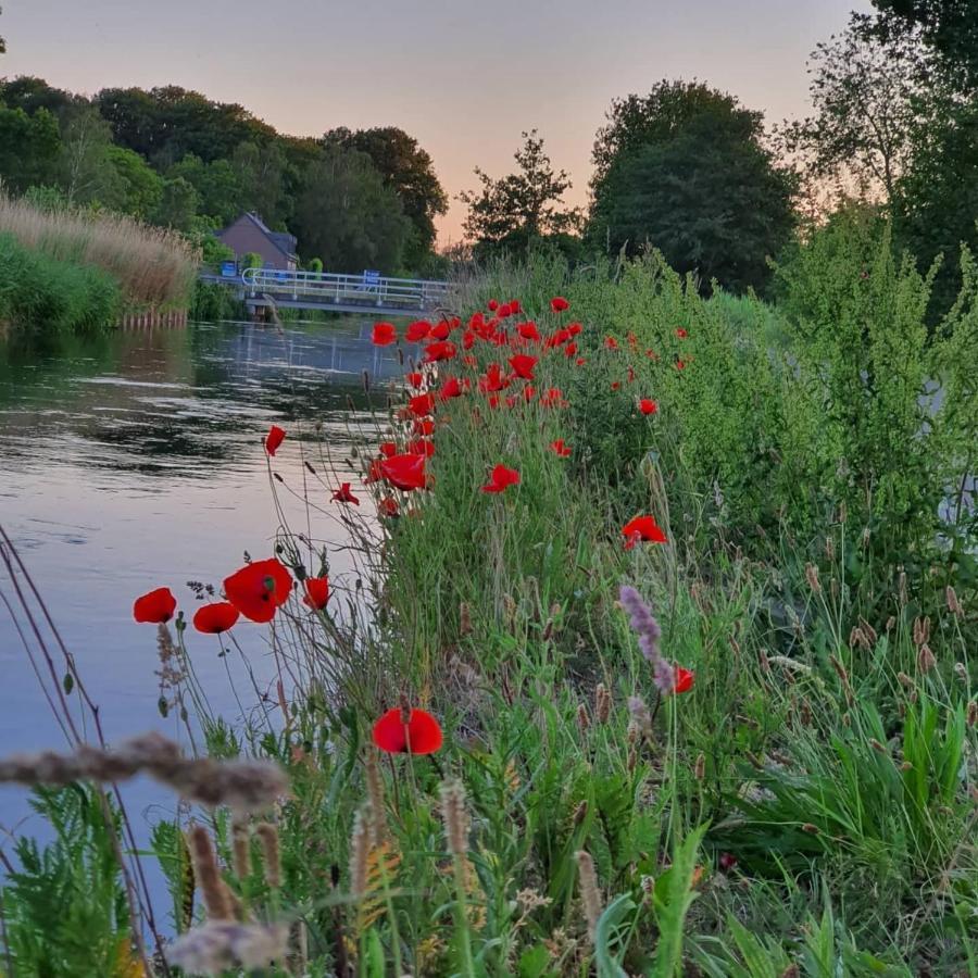 De Vliegende Vlinder Bed & Breakfast Nederweert ภายนอก รูปภาพ