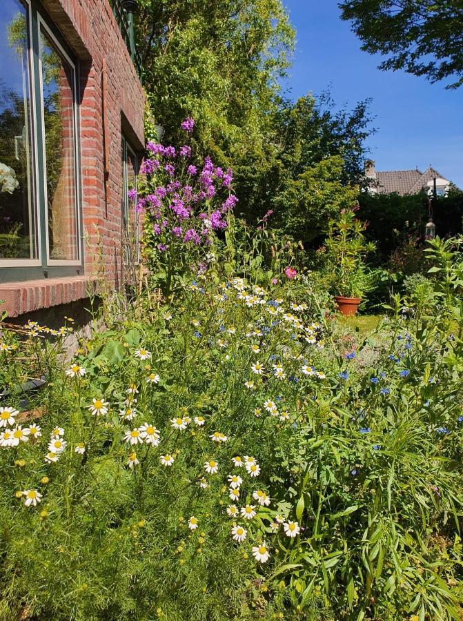 De Vliegende Vlinder Bed & Breakfast Nederweert ภายนอก รูปภาพ