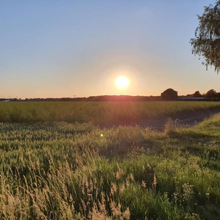 De Vliegende Vlinder Bed & Breakfast Nederweert ภายนอก รูปภาพ